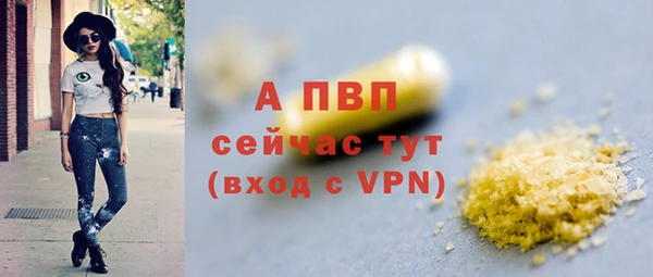 индика Волоколамск