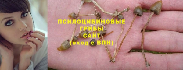 альфа пвп Богданович