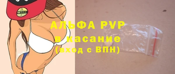 дживик Богородск