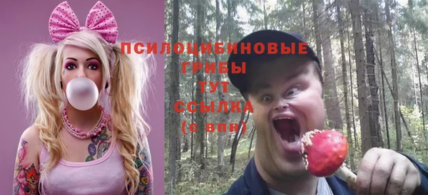 соль ск Бородино