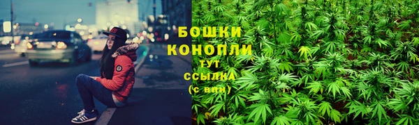дживик Богородск