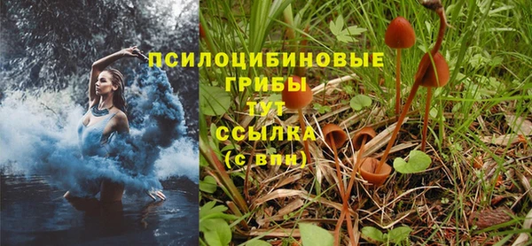 СК Бугульма